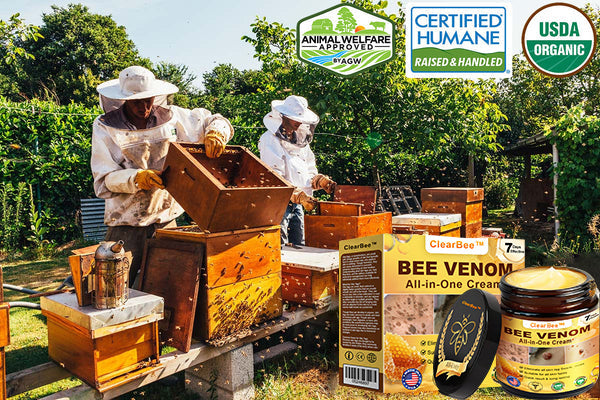 Bee Venom All-in-One Cream